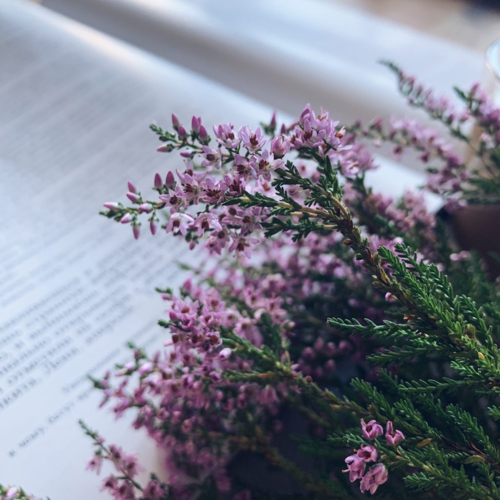 Scholé Sister's Retreat Book with Purple Flowers